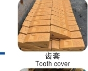 Tooth Cover