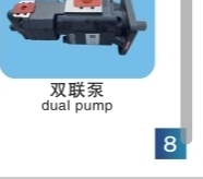 Dual Pump