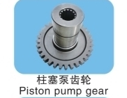 Piston Pump Gear