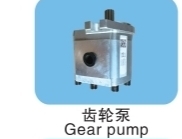 Gear Pump