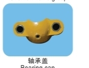 Bearing Cap