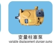 Variable Displacement Plunger Pump