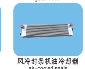 Air-Cooled Seals